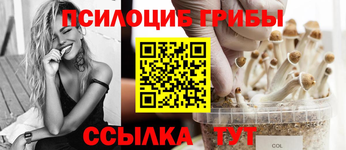 Галлюциногенные грибы Cubensis  Вход с VPN  Псилоцибиновые грибы мухоморы  Донской 